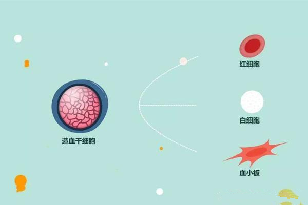 甲醛浓度 甲醛浓度